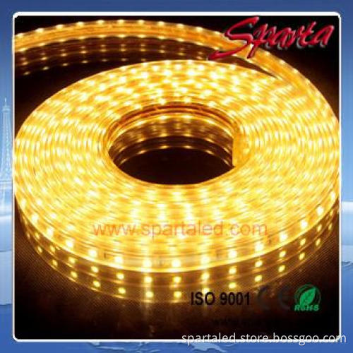 5050 smd 110V/220V rgb led strip waterproof